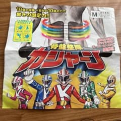 骨盤整隊カシャーンのサムネイル