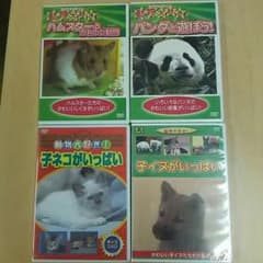 癒しの動物DVD 4本セットのサムネイル