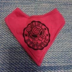 ヒスミニスタイのサムネイル