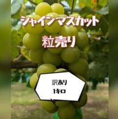 シャインマスカット 訳あり つぶつぶ1キロのサムネイル