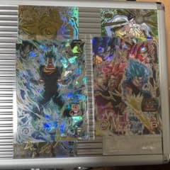 ベジットSEC4、ベジットSEC8のサムネイル