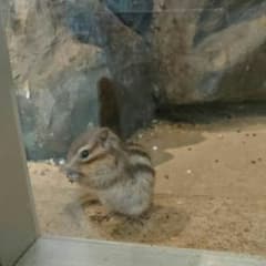 ひーちゃん様専用☆のサムネイル