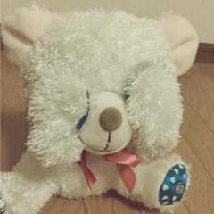 Shiny bear アミューズメントのサムネイル