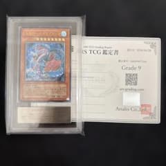 ars9】海竜神-ネオダイダロス レリーフ psa9相当 - メルカリ