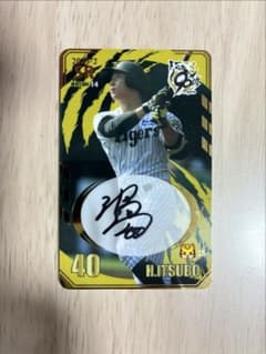 阪神タイガース 井坪陽生 直筆サイン オンサイトカード 2025-2 SR