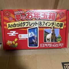 ヨドバシ 2026年夢のお年玉箱Androidタブレット(8.7インチ)の夢 - メルカリ