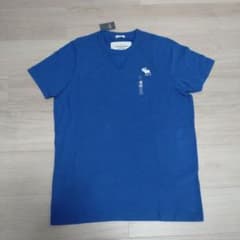 【新品未使用タグ付き】Abercrombie&Fitch メンズ Ｔシャツ【L】のサムネイル