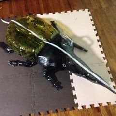 りす様専用のサムネイル