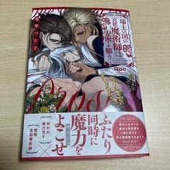 瑞土の国の宮廷魔術師は安寧を願う 蔓沢つた子