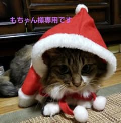 もちゃん様専用　美容液のサムネイル