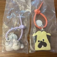 Maison terrier カラフルマルチチャーム 2種セット ガチャのサムネイル