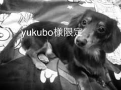 yukubo様限定のサムネイル