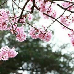 返金専用ページのサムネイル