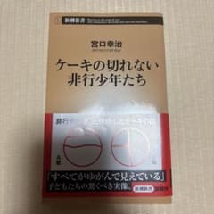 ケーキの切れない非行少年たち 宮口幸治のサムネイル