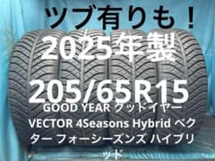小鉄様 専用2025年製バリ山！ツブ有りも！中古タイヤ2本 オール