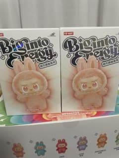正規品・未開封】 Labubu Big into Energy 2箱 ラブブ - メルカリ