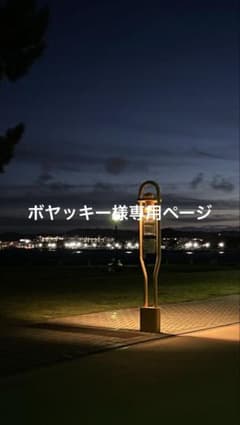 専用ページのサムネイル