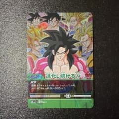 ドラゴンボールZ スーパーカードゲーム DB-794-II 進化し続ける力