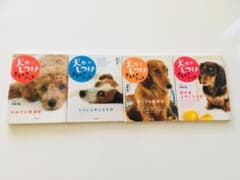 犬のしつけきちんとブック 4冊セット☆のサムネイル