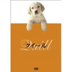 ♡ 【激安DVD】クイール ♡のサムネイル