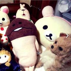 ぬいぐるみのサムネイル