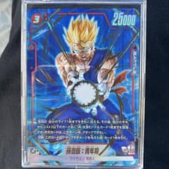 ドラゴンボールカード 孫悟飯・青年期のサムネイル