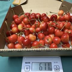 山形県寒河江産　規格外　山形紅王　600gのサムネイル