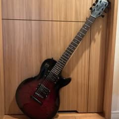 【ジャンク/修理前提】メイソン レスポールタイプ 赤黒 ハムバッカー 欠品多数 ジャンク/修理前提】メイソン レスポールタイプ 赤黒