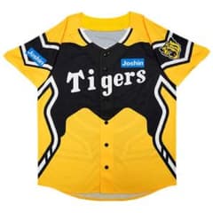 阪神タイガースウル虎の夏2023のサムネイル