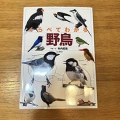 くらべてわかる野鳥 識別ポイントで見分けるのサムネイル