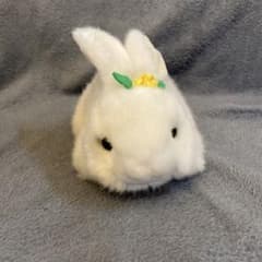 ふわふわうさぎ　ぬいぐるみのサムネイル