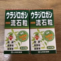 ポコ。くん専用　ウラジロガシ流石粒250mg 240粒 2箱セットのサムネイル