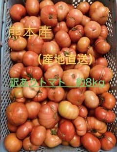 熊本産（産地直送）訳ありトマト 約8kg（送料無料） - メルカリ