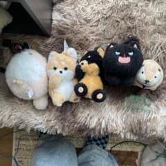 動物キャラクター ぬいぐるみセットのサムネイル