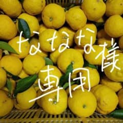 柚子のサムネイル