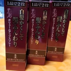 黒髪ボリュームアップスプレー 374 3本セットのサムネイル