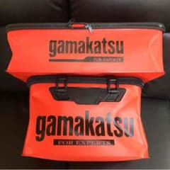本日値下げ4000円のサムネイル