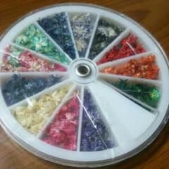Nail専用 ドライフラワーのサムネイル