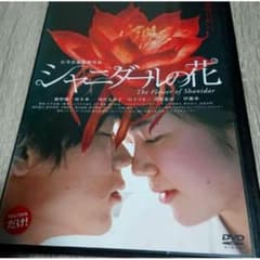 シャニダールの花 DVD 綾野剛、黒木華、ジャケットケース付き - メルカリ