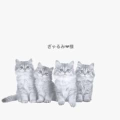 ぎゃるみ❤︎samaのサムネイル