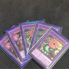 遊戯王 あんせる様専用のサムネイル