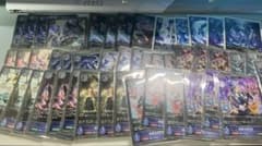 エボルヴ　リーシェナ　デッキパーツ　まとめ売り シャドウバース エボルヴ リーシェナ破壊アイドルウィッチデッキパーツ