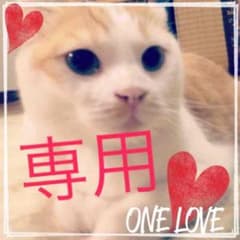 やす様専用のサムネイル