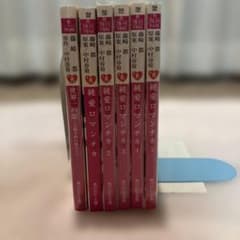 純愛ロマンチカ 世界一初恋 小説 6冊セット 角川ルビー文庫のサムネイル