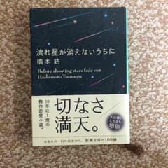 流れ星が消えないうちにのサムネイル