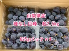 山梨県産　ぶどう　種無し巨峰 2.5kg+0.5㎏（３キロ）のサムネイル