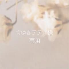 ゆきテテ様専用  wings tour キーリング ブローチのサムネイル
