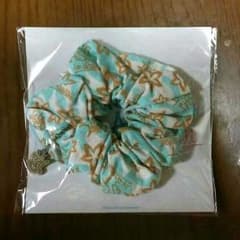 嵐 ハワイ シュシュのサムネイル