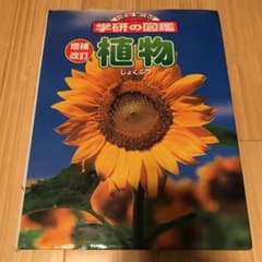 植物のサムネイル