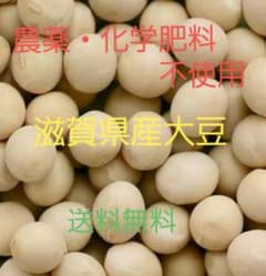 【送料無料】農薬・化学肥料不使用　令和7年度産　滋賀県産大豆10kg 送料無料】農薬・化学肥料不使用 令和7年度産 滋賀県産大豆1400g